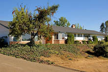 25157_100_web_cropped_2x