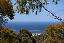 Img_9149a_cropped_2x