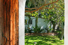 Img_7678a_web_cropped_2x