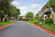 35248_102_web_cropped_2x