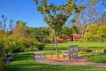 35840_101_web_cropped_2x