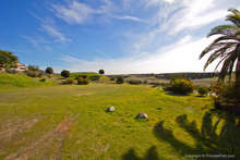 36230_101_web_cropped_2x