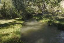 201005296_1_orig_cropped_2x