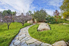 36847_101_web_cropped_2x