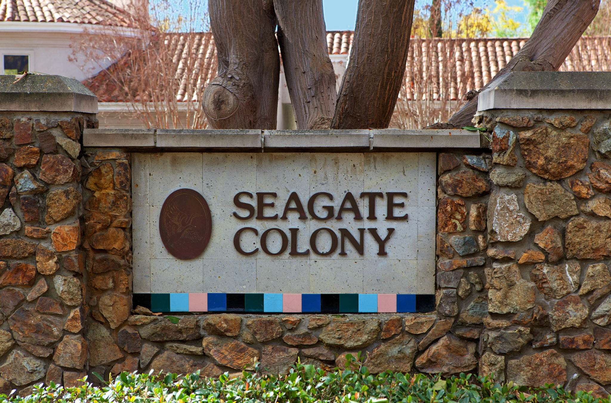 193 Cinnamon Teal Aliso Viejo , California by Veronica Potter