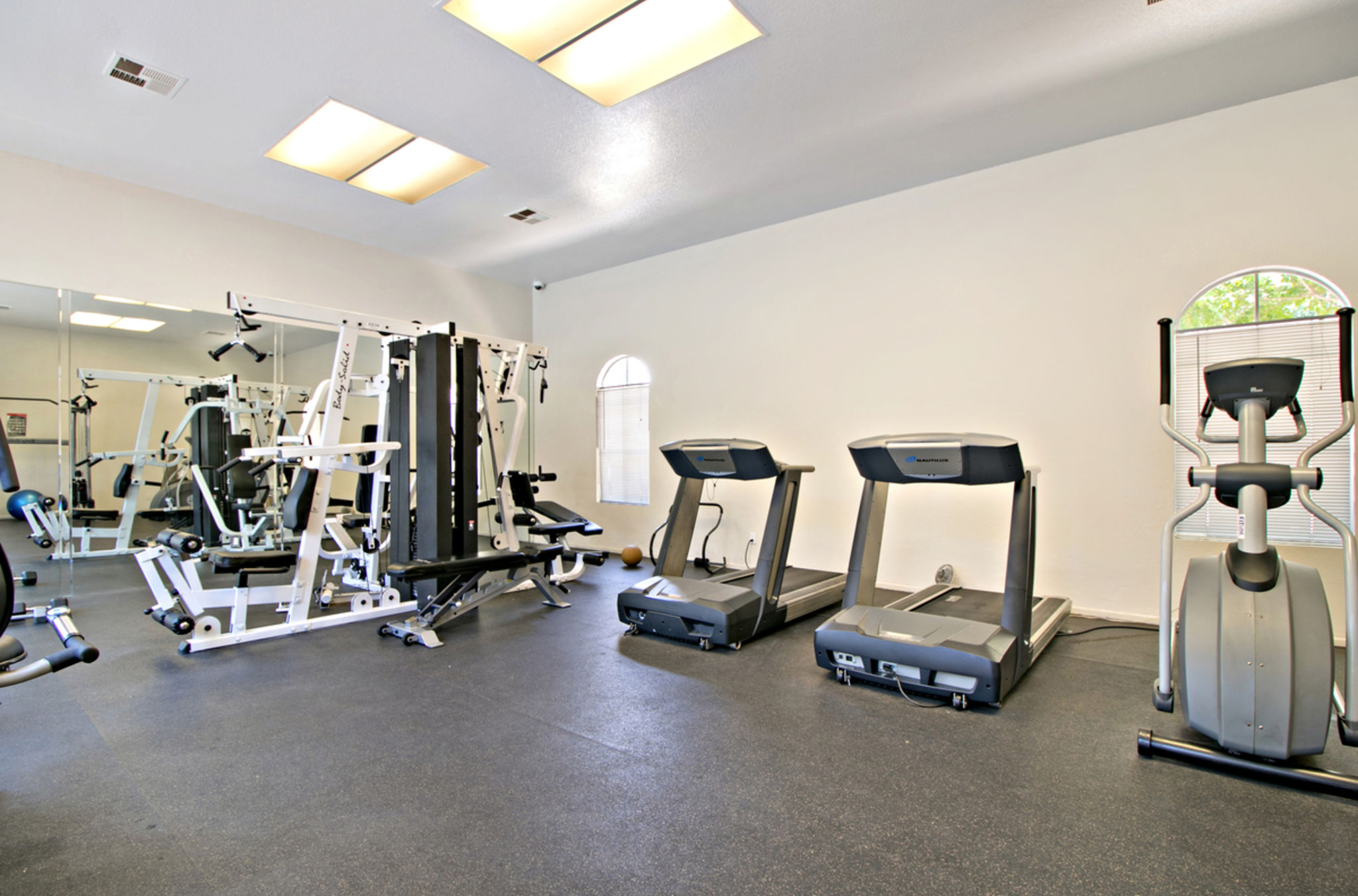 193 Cinnamon Teal Aliso Viejo , California by Veronica Potter