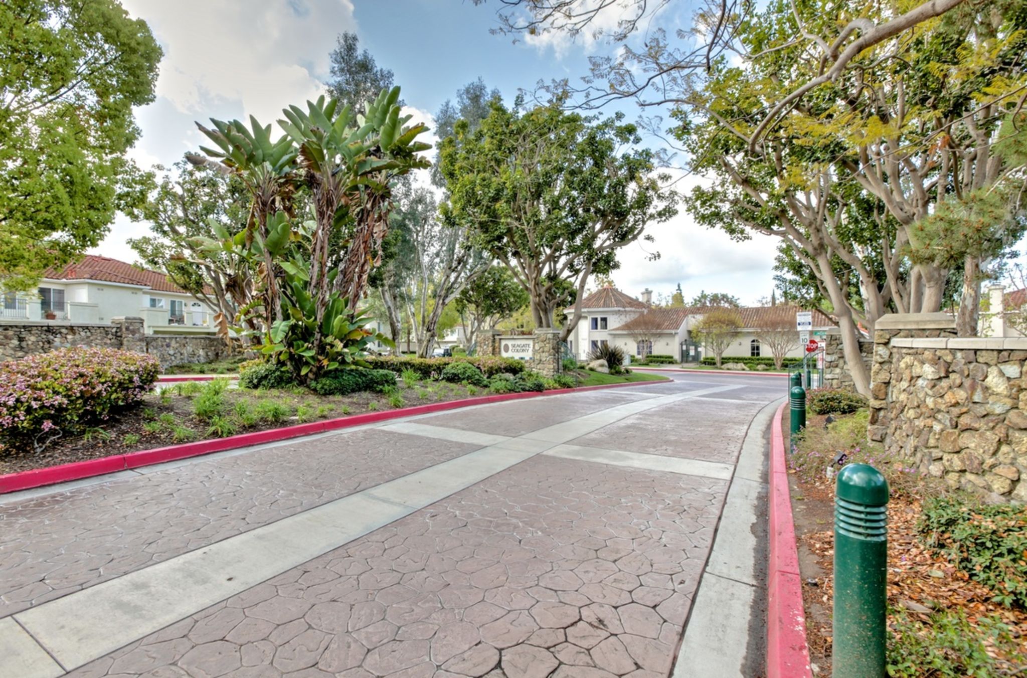 193 Cinnamon Teal Aliso Viejo , California by Veronica Potter