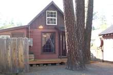 Sauls_604_pine_front_cropped_2x