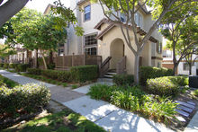 Iopsg2_40312_101_web_cropped_2x