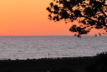 Fzmplr_img_2672_web_cropped_2x