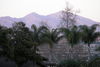 Sany0835___copy_cropped_1x