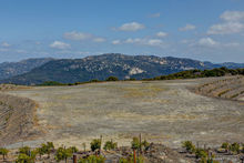 7z7bcq_44175_101_web_cropped_2x