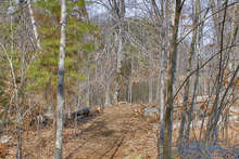 Entrance to Nature Trail which lead to the pond. This trail is accessed from the playground area.