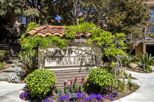 0zk3z1_43337_101_web_cropped_2x